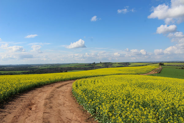 Southern Farming Systems Soil Probe Network