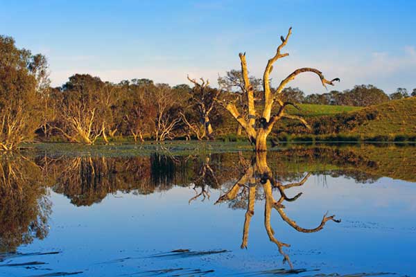 South West Climate Change Portal